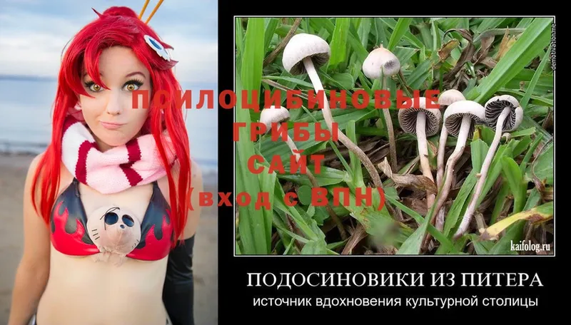 Галлюциногенные грибы Magic Shrooms  как найти закладки  Нижняя Тура 